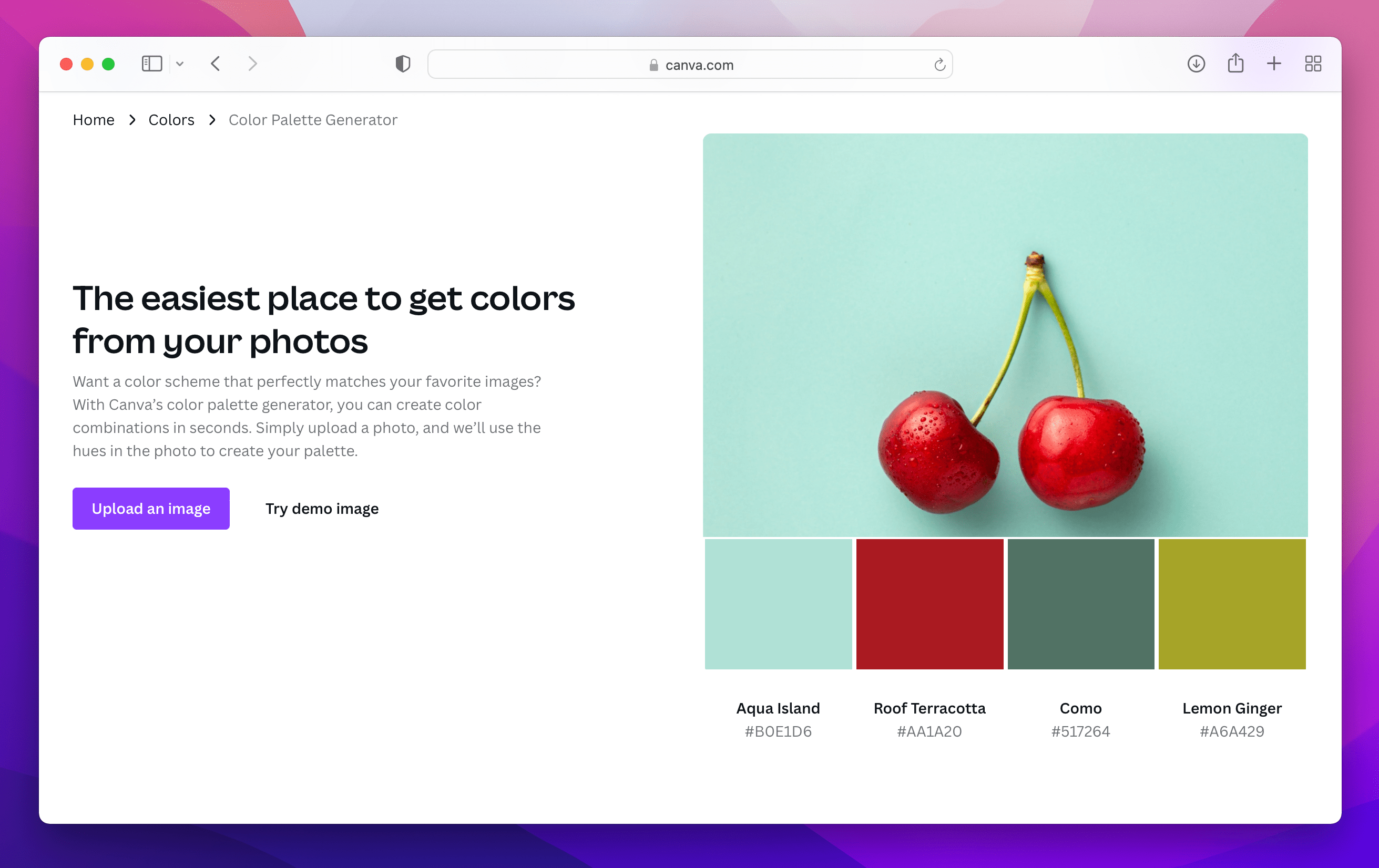 5 online tools for creating custom color palettes from images