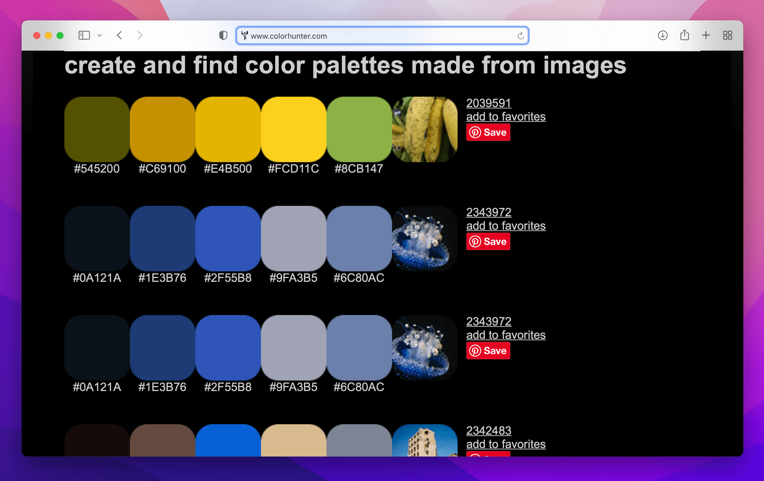 yello and blue color palettes on Color Hunter website